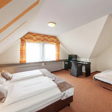 Hotel Strohgaeu 3*
